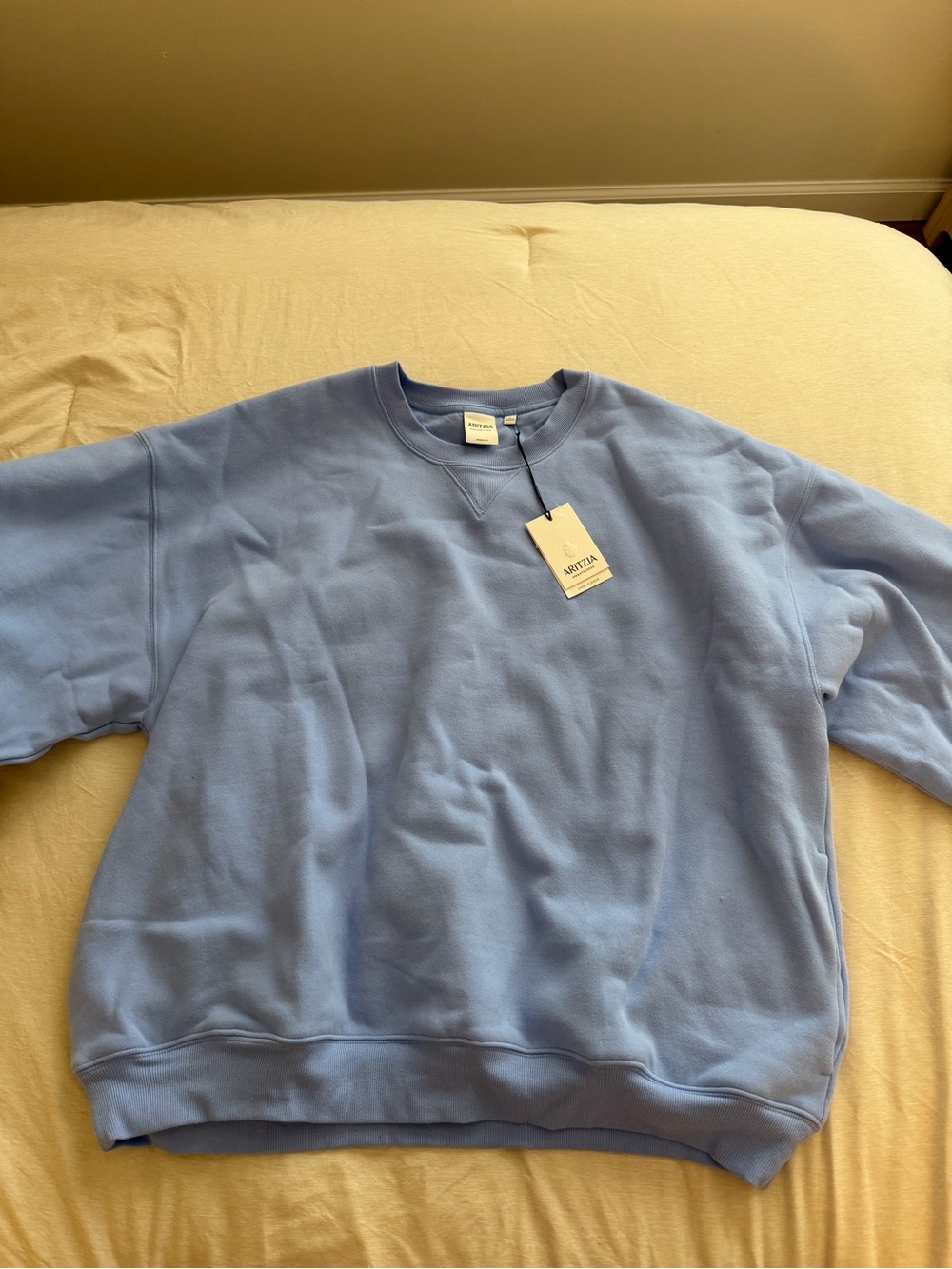 Aritzia Mega Fit Crew Sweatshirt